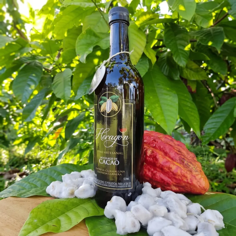 Vino de Cacao, foto 3 de 10